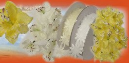 accessori bomboniere e gioielli perline in bianco, giallo - nastri fiori per creare fai da te