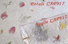 LIBRETTO MESSA MATRIMONIO QUADRATO DA SCARICARE