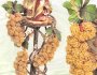 composizione frutta, grappoli uva colori dorati