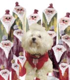 Nicole di Tiger Bazar e decorazioni Babbo Natale