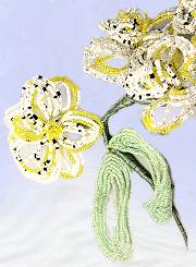 tralcio orchidee perline fiori per bomboniere