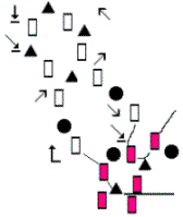 schema punta stella Swarovski